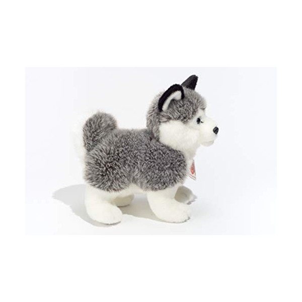 Hermann Teddy Collection - 927013 - Peluche - Chien Husky Debout - 23 cm