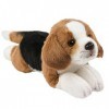 Teddys Rothenburg Beagle Doudou chien couché 28 cm