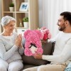 Ours en rose – Ours en peluche Hugz – Plus de 250 douzaines de fleurs artificielles – Cadeau unique, cadeau pour femme – Boît