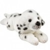 Teddys Rothenburg Doudou Dalmatien couché 28 cm chien