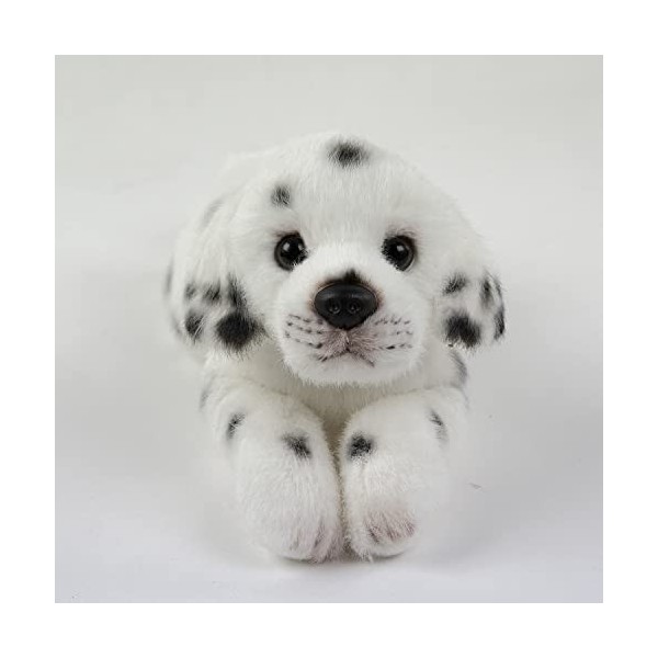 Teddys Rothenburg Doudou Dalmatien couché 28 cm chien