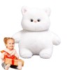 Kasmole Jouet en Peluche pour Chat | Animal en Peluche de Gros Chat en Peluche Moelleuse,Chat en Peluche en Peluche, interact