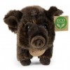 RAPPA Peluche Sanglier 20 cm ECO-Friendly