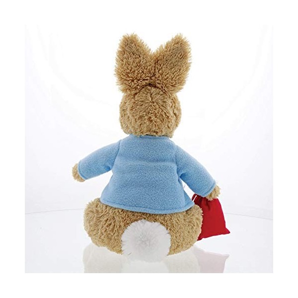 GUND Peter Rabbit- Peluche, 6054396, Multicolore