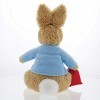 GUND Peter Rabbit- Peluche, 6054396, Multicolore