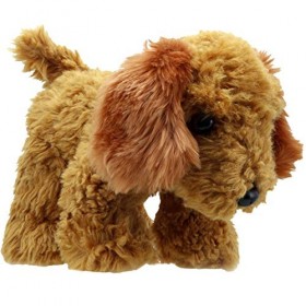 Wilberry Favoris Golden Cockapoo Peluche
