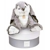 Histoire dOurs - Peluche Lapin Marius PM - Boîte Cadeau - Grise - 20 Cm - Douce et Mignonne - Idée Cadeau de Naissance et An