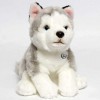 Husky Smilla Chien en peluche Malamute assis