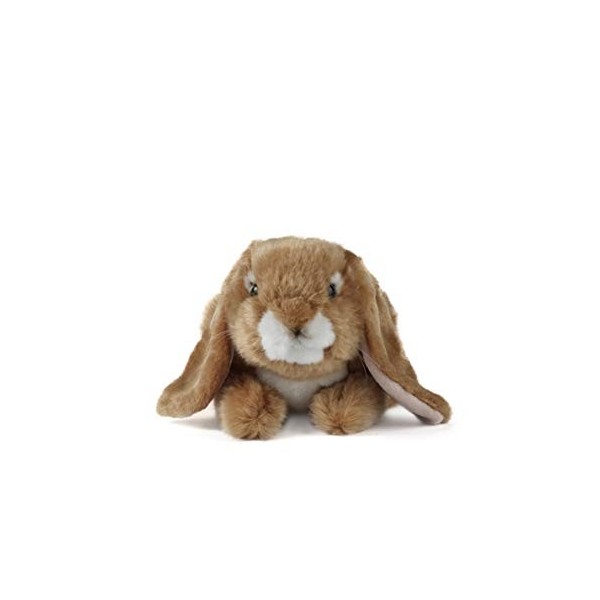 Living Nature Jouet en Peluche Lapin en Peluche à Grandes Oreilles, à l’unité 24 cm 