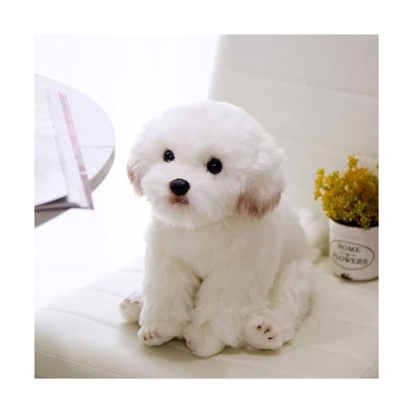 BEAUTYBIGBANG Haute Qualité Simulation Chien en Peluche Jouet en Peluche Réaliste Poméranie Chien Chiot Jouets Décor À La Mai