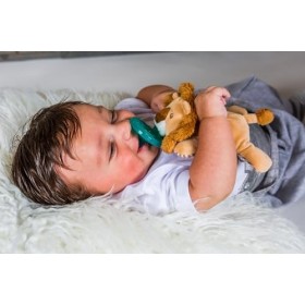 Mary Meyer 42554&nbsp;Horizons Lion Wubbanub Peluche sucette et bébé