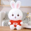 SaruEL Mignon Lapin en Peluche Jouet en Peluche Dessin Animé Animal Grande Oreille Lapin Poupée Peluche Coussin Kawaii Cadeau