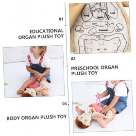 OATIPHO Jouets Déducation De La Petite Enfance Anatomie Corps Puzzles Jouets Outils Poupées en Peluche Garçons Anatomie du C