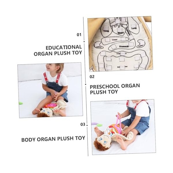 OATIPHO Jouets Déducation De La Petite Enfance Anatomie Corps Puzzles Jouets Outils Poupées en Peluche Garçons Anatomie du C