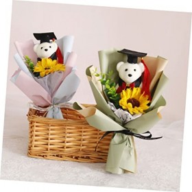 ERINGOGO 24 Pièces Dr Ours Ours en Peluche Graduation Graduation Animaux en Peluche Animal en Peluche Affichage Ours Graduati