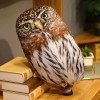 KiLoom Nouveau Style Simulation Peluche Hibou Oreillers De Couchage Doux en Peluche Animaux Aigle Coussin Canapé Décor Dessin