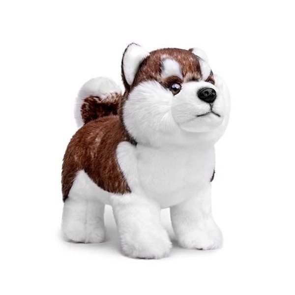 PuffPurrs Peluche de Beagle Réaliste Marron 20cm, Chien en Peluche, Jouet Chiot Mignon, Collection de Cadeaux Unique pour Enf