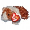 Ty - Peluche Reese le cochon dInde