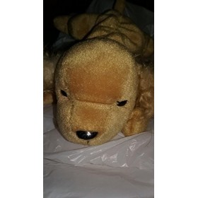 TY Beanie Baby - Spunky The Cocker Spaniel Dog