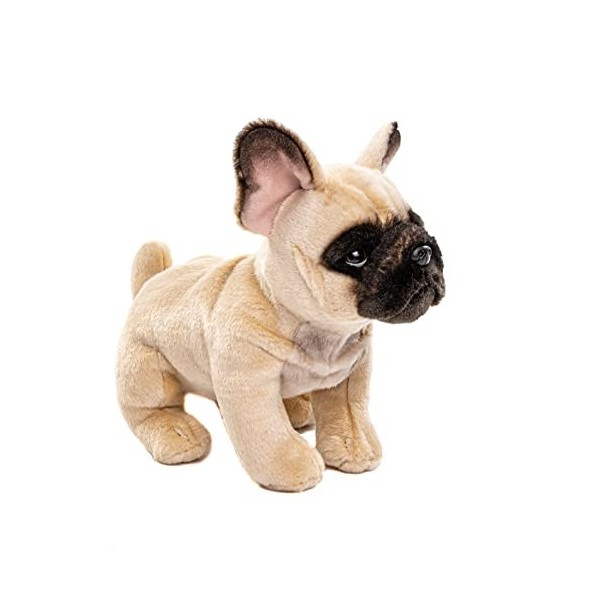 Uni-Toys - Bouledogue français Beige - 27 cm Longueur - Chien en Peluche, Dogue - Doudou