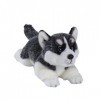 Siberian Husky Stuffed Dog Animal Simulation-Realistic & Lifelike Soft Handmade Lying Dog Peluche Toy Puppy -Cadeau Cadeau po