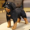 LfrAnk Mignon Chien en Peluche Jouet Mignon Husky Rottweiler Chien Animal Chien poupée Peluche Jouet Enfants garçon Cadeau de