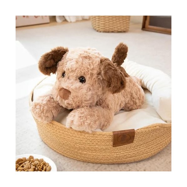 Kawaii Chien Peluche Jouet Doux Chiot Oreiller Mignon Dessin animé Peluche Animal Animal poupée Tapis Chambre décoration Cade