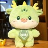 Peluche Dragon Peluche poupée Peluche Dinosaure coloré Jouet Nouvel an Mascotte poupée Enfants Kawaii Cadeaux de Noël 30cm 2