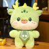 Peluche Dragon Peluche poupée Peluche Dinosaure coloré Jouet Nouvel an Mascotte poupée Enfants Kawaii Cadeaux de Noël 30cm 2