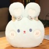 Animaux Kawaii, Lapin, Ours, Jouets en Peluche, Lapin de Dessin animé Doux, poupée en Peluche, Petite Amie, Cadeau de Coussin