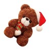 ibasenice Ours De Noël Poupée en Peluche Saint Valentin Cadeau De Fête De Noël Décor De Poupée Ours Cadeau De Poupée De Noël 