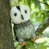Nouveaux jouets en peluche hibou, oiseaux mignons, animaux, poupées, jouets, oreillers moelleux, cadeaux d’anniversaire pour 
