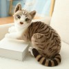 Peluche Réaliste Chats Siamois Jouet en Peluche Simulation American Shorthair Mignon Poupée Animal De Compagnie Home Decor Ca