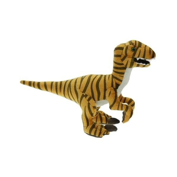 Cornelißen - 1017096 – Dinosaure, Velociraptor, peluche, 32 cm