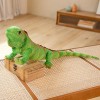 GagaLu Nouveau lézard, caméléon, Jouets en Peluche pour Enfants, Animaux en Peluche, poupées lézard, Jouets, Cadeaux pour Enf