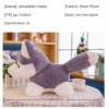 HYSTERIA Jouets en Peluche Poupée Husky de guérison Mignonne, Jouet en Peluche for Petit ami, Petite Amie, Oreiller, Simulati