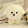 Kawaii Chiot Jouet Peluche Husky Corgi Chow Chow akit poupée Doux et Mignon Jouet Cadeau pour Les Enfants 20cm 5