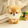 Kawaii Chiot Jouet Peluche Husky Corgi Chow Chow akit poupée Doux et Mignon Jouet Cadeau pour Les Enfants 20cm 5