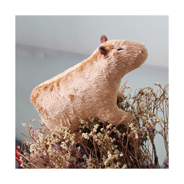 SanCiYu Jouets en Peluche Capybara, Animaux de Simulation Jouets en Peluche Capybara Mignons poupées en Peluche Capybara Anim