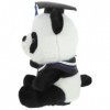 Toyvian Ours De Remise des Diplômes 2024 Panda en Peluche Ours Panda De Remise des Diplômes Faveur De Fête De Remise des Dipl