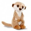 NICI- Peluche Suricate 20 cm, 46344, Marron