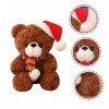 Toyvian 2 Pièces Ours De Noël Ours en Peluche Jouet en Peluche Oreiller Câlin Ours en Peluche Poupées Noël Ours en Peluche Fe