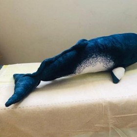 NURCIX Peluche 50Cm Simulation Animal Mignon Cachalot Peluche Animal Marin Modèle Ornement Peluche Cadeau danniversaire Orne