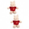 Toyvian 2 Pièces Lapin en Peluche Cochon en Peluche Peluche Themberchaud Peluche Lapin en Peluche Lapin Enfant Jouets Peluche