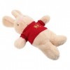 Toyvian 2 Pièces Lapin en Peluche Cochon en Peluche Peluche Themberchaud Peluche Lapin en Peluche Lapin Enfant Jouets Peluche