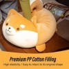 13,8 Pouces Shiba Inu Animal en Peluche Mignon Anime Corgi Akita Chien en Peluche Oreiller Sourire Kawaii Peluche Meilleurs C