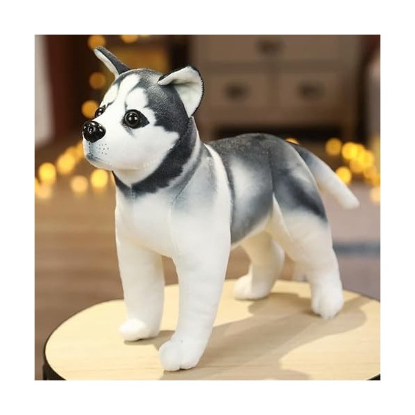 Husky Akita Rottweiler Animal Chien Jouet en Peluche Poupée Mignonne Jouet en Peluche Enfants Garçon Cadeaux De Noël 25CM 5