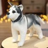 Husky Akita Rottweiler Animal Chien Jouet en Peluche Poupée Mignonne Jouet en Peluche Enfants Garçon Cadeaux De Noël 25CM 5