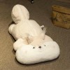 GagaLu Poupée en Peluche écureuil de Dessin animé Mignon Grosse Queue Peluche Animal Jouet créatif Tapis Chambre décoration E