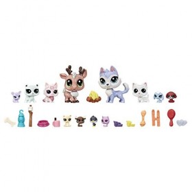 Littlest Pet Shop Calendrier de lAvent jouet à partir de 4 ans exclusivité Amazon 